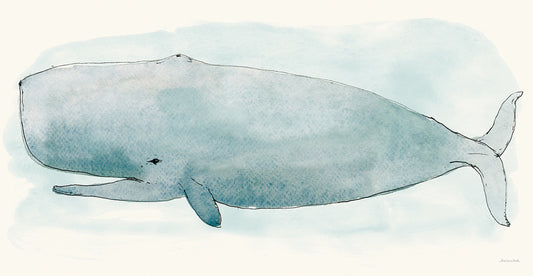 Sea Life V Canvas Print