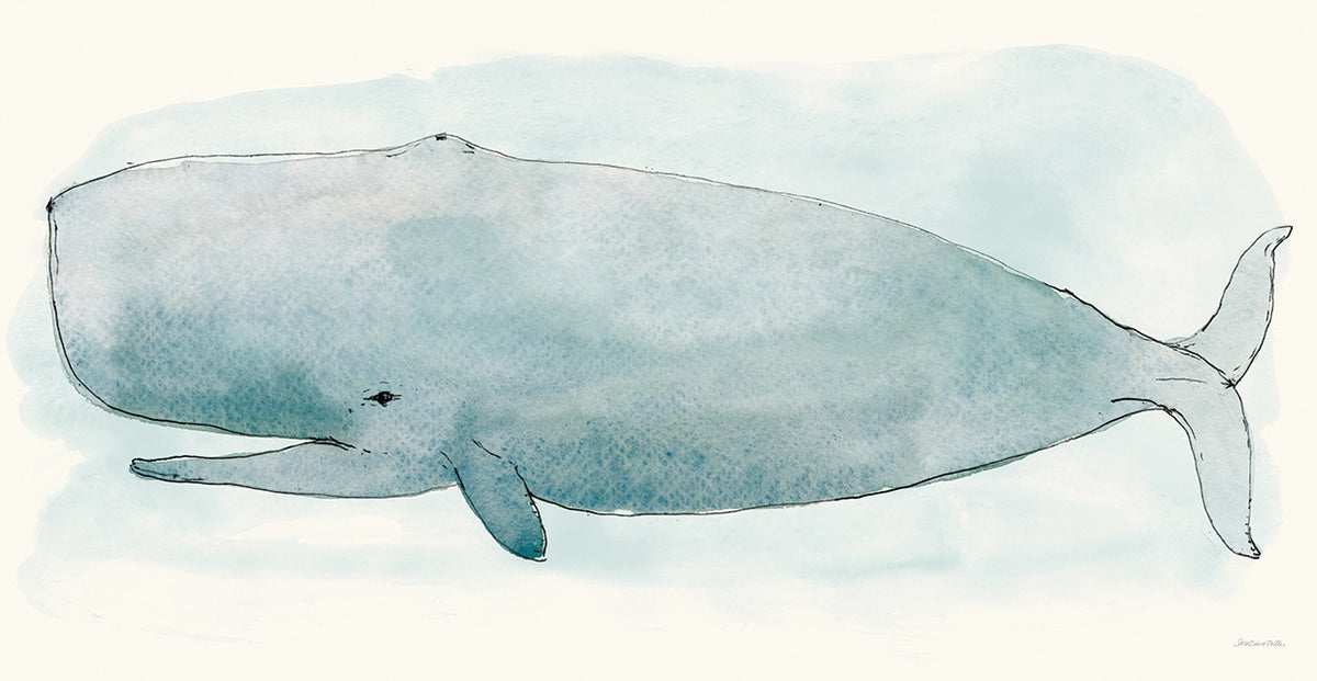 Sea Life V