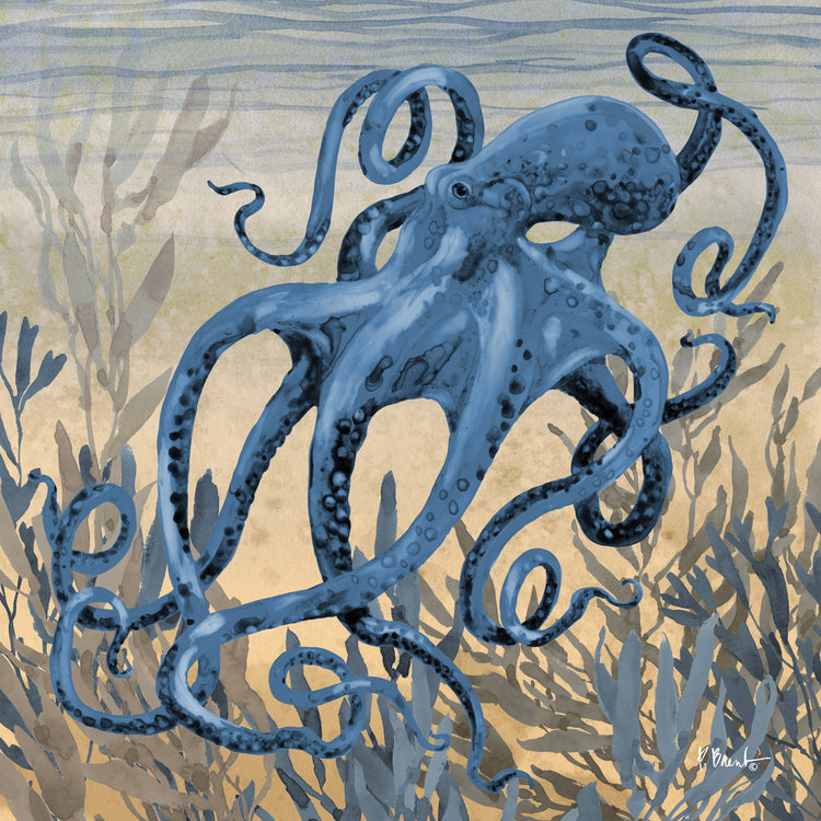 Tonga Sealife II – Sunset