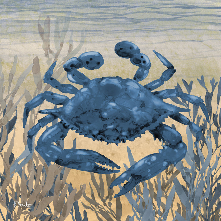 Tonga Sealife III – Sunset