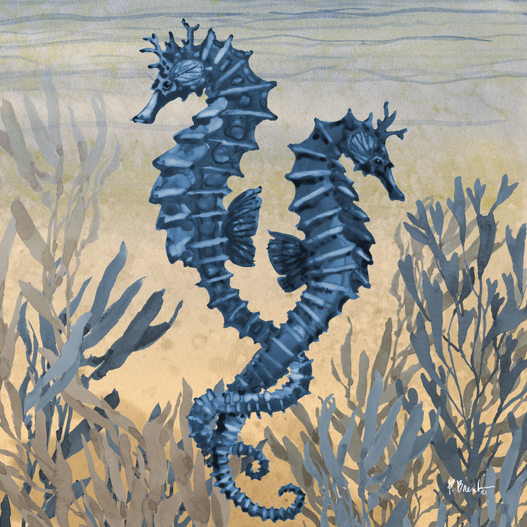 Tonga Sealife IV – Sunset