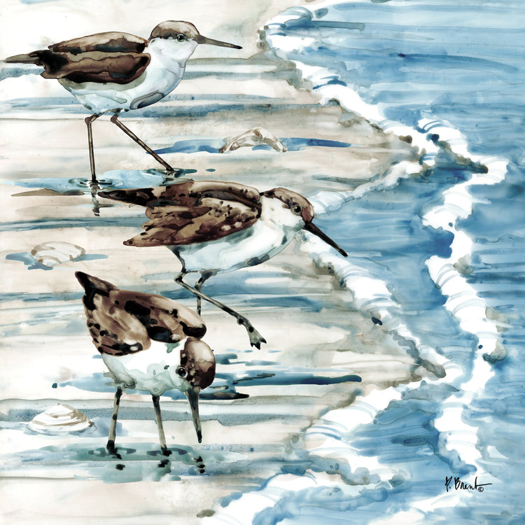 Rockhampton Sandpipers I – Light