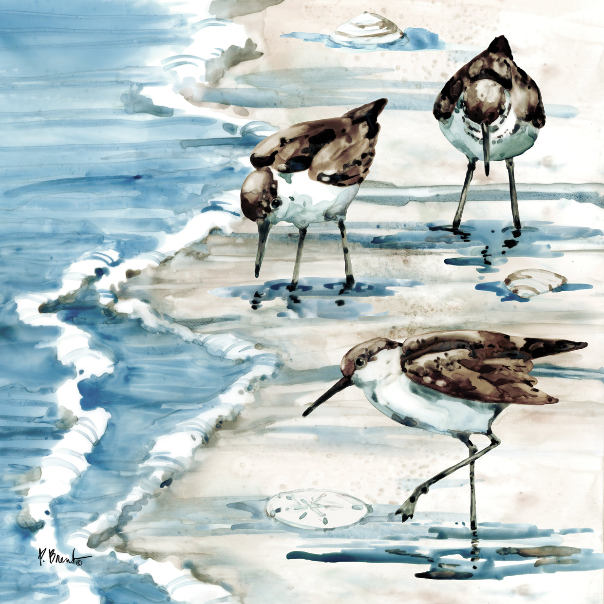 Rockhampton Sandpipers II – Light