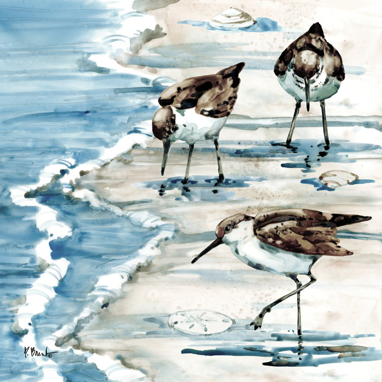 Rockhampton Sandpipers II – Light