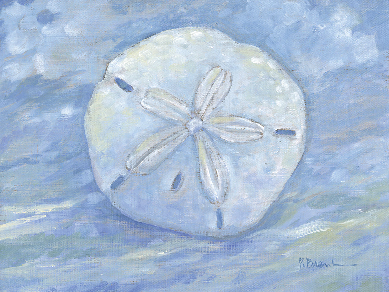 Impressions of Shells I – Sand Dollar