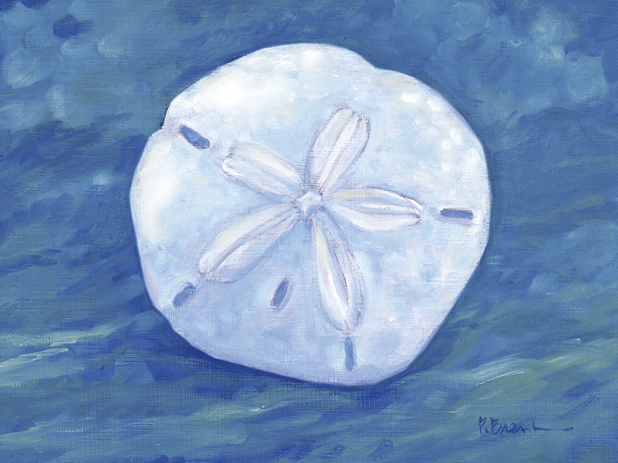 Impressions of Shells I – Sand Dollar – Indigo