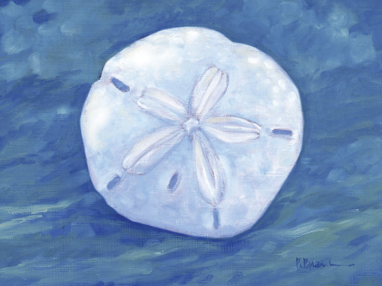 Impressions of Shells I – Sand Dollar – Indigo