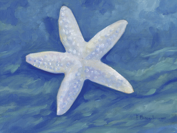 Impressions of Shells II – Starfish – Indigo