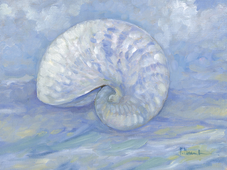 Impressions of Shells III – Nautilus