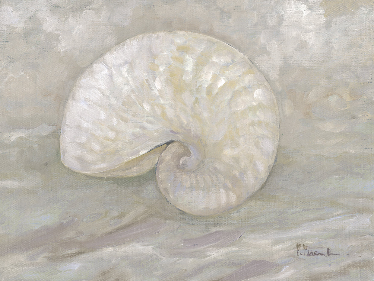 Impressions of Shells III – Nautilus – Neutral