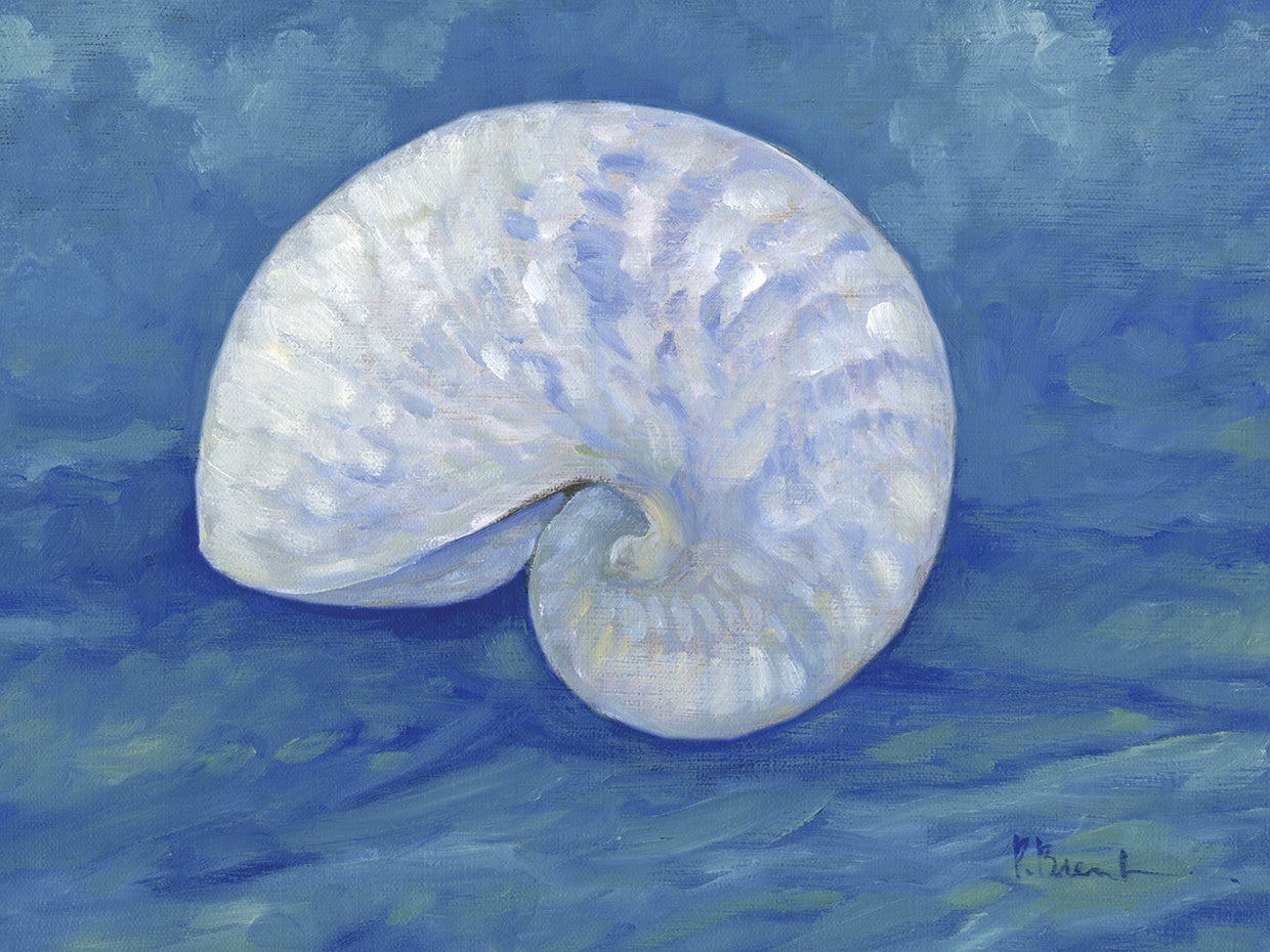 Impressions of Shells III – Nautilus – Indigo