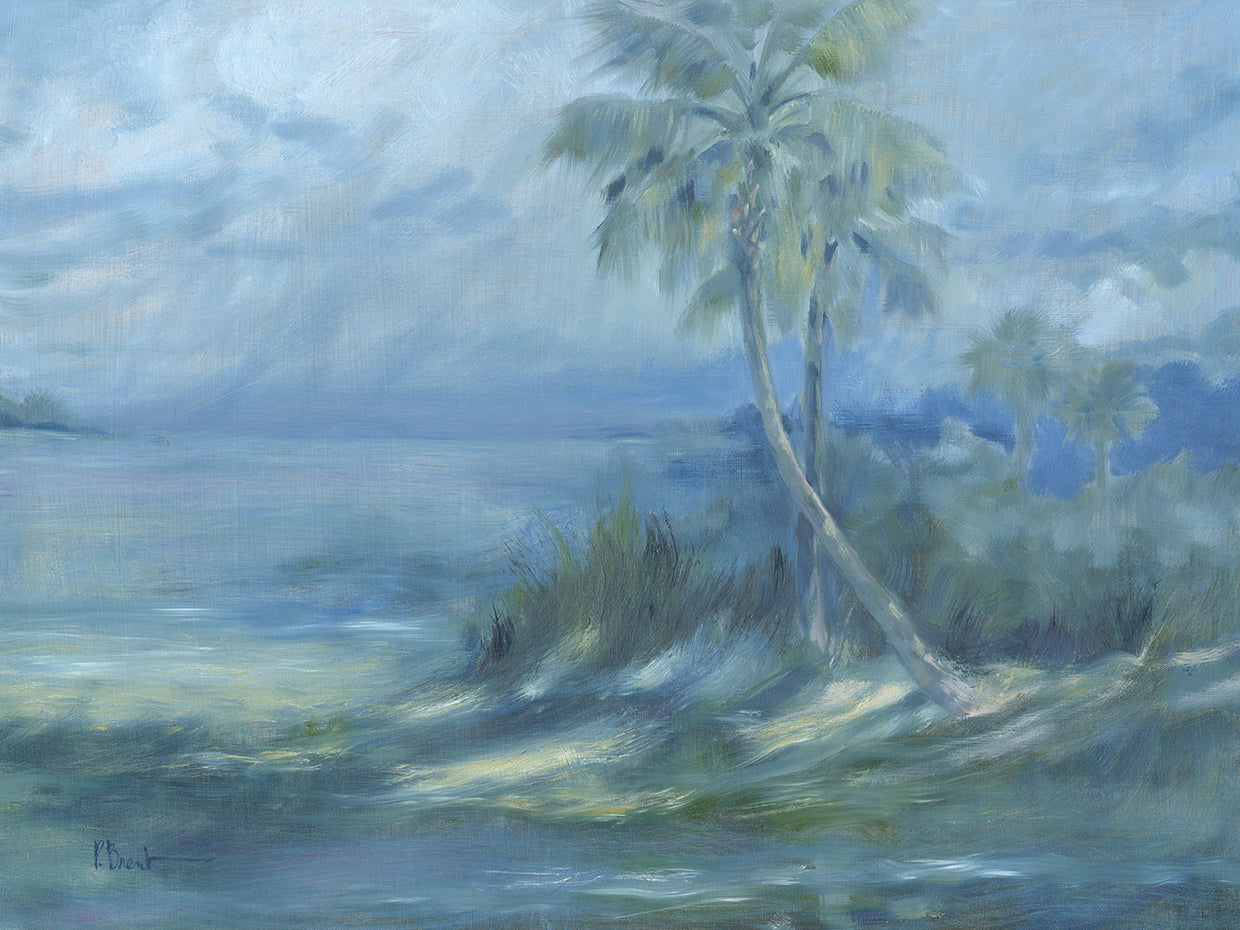 Nebulous Palms – Daybreak