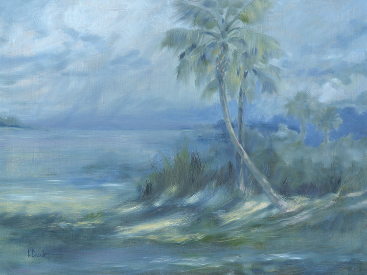 Nebulous Palms – Daybreak