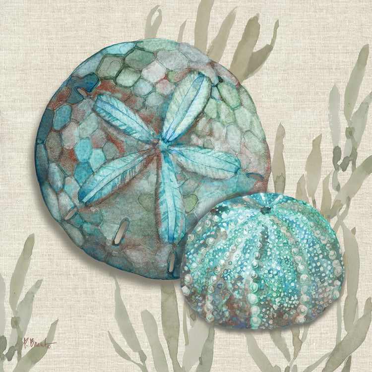 Crescent Beach Shells I