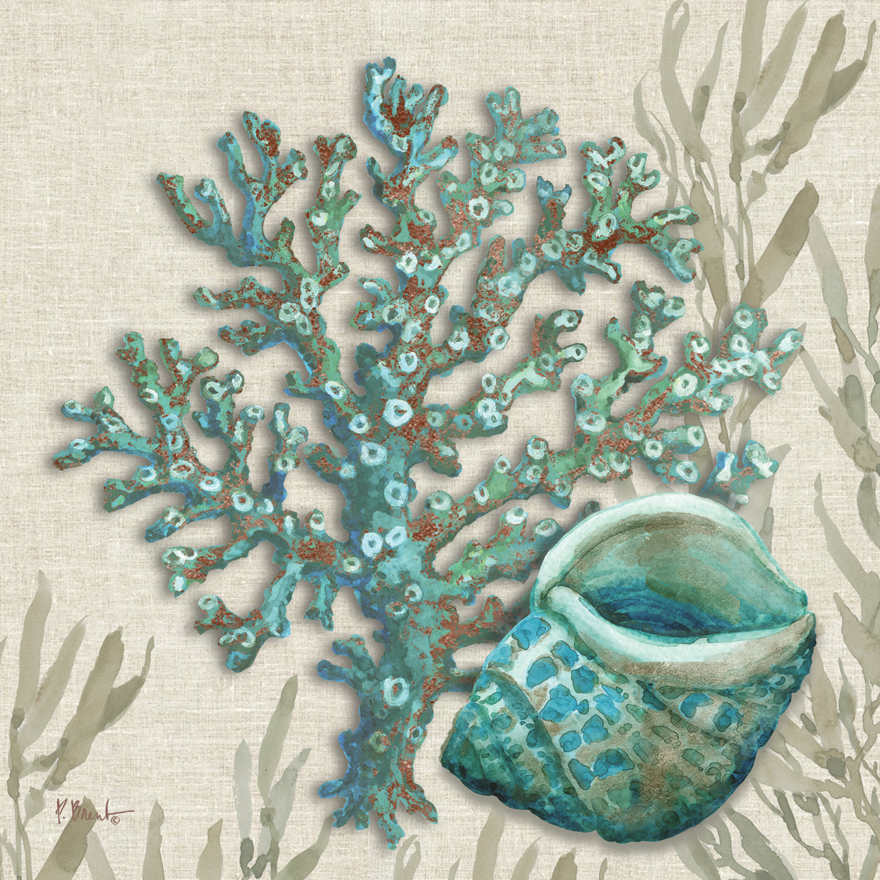 Crescent Beach Shells III