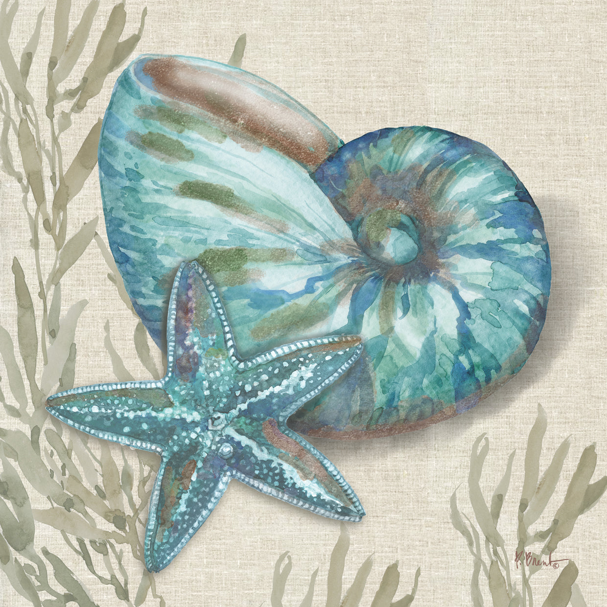 Crescent Beach Shells IV