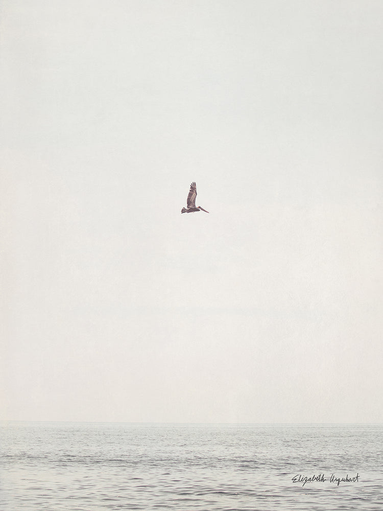 February Morning III