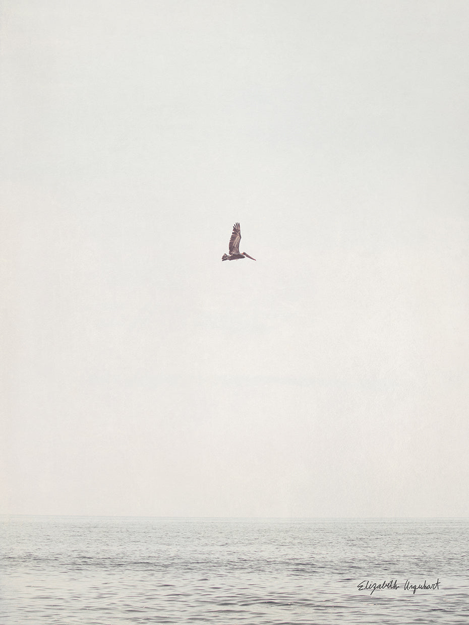 February Morning III