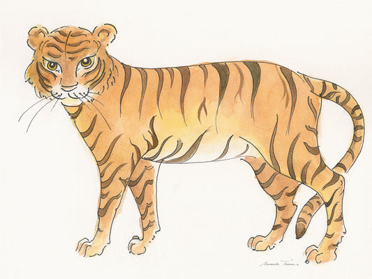 Big Cats III Canvas Print