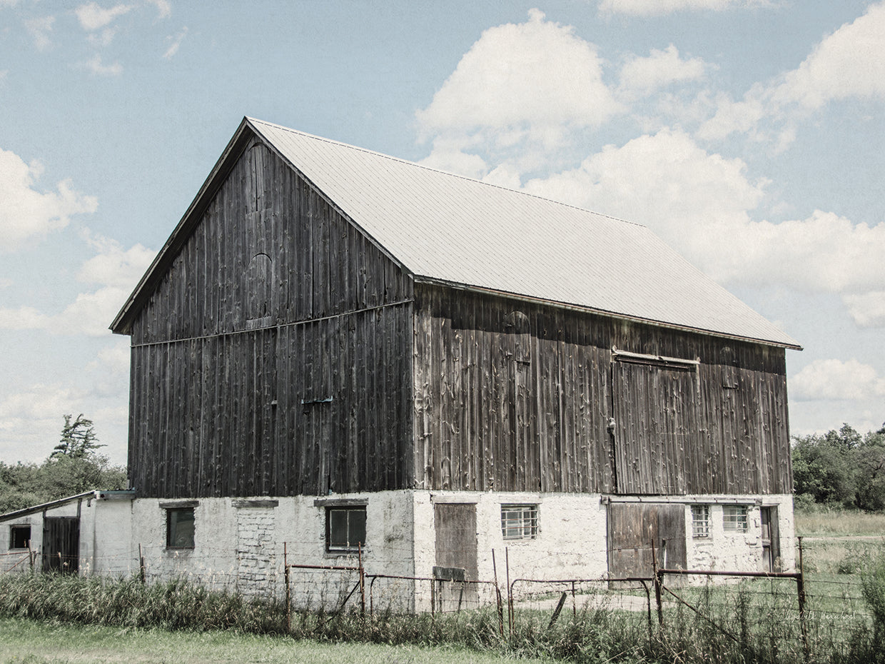 Weathered IV