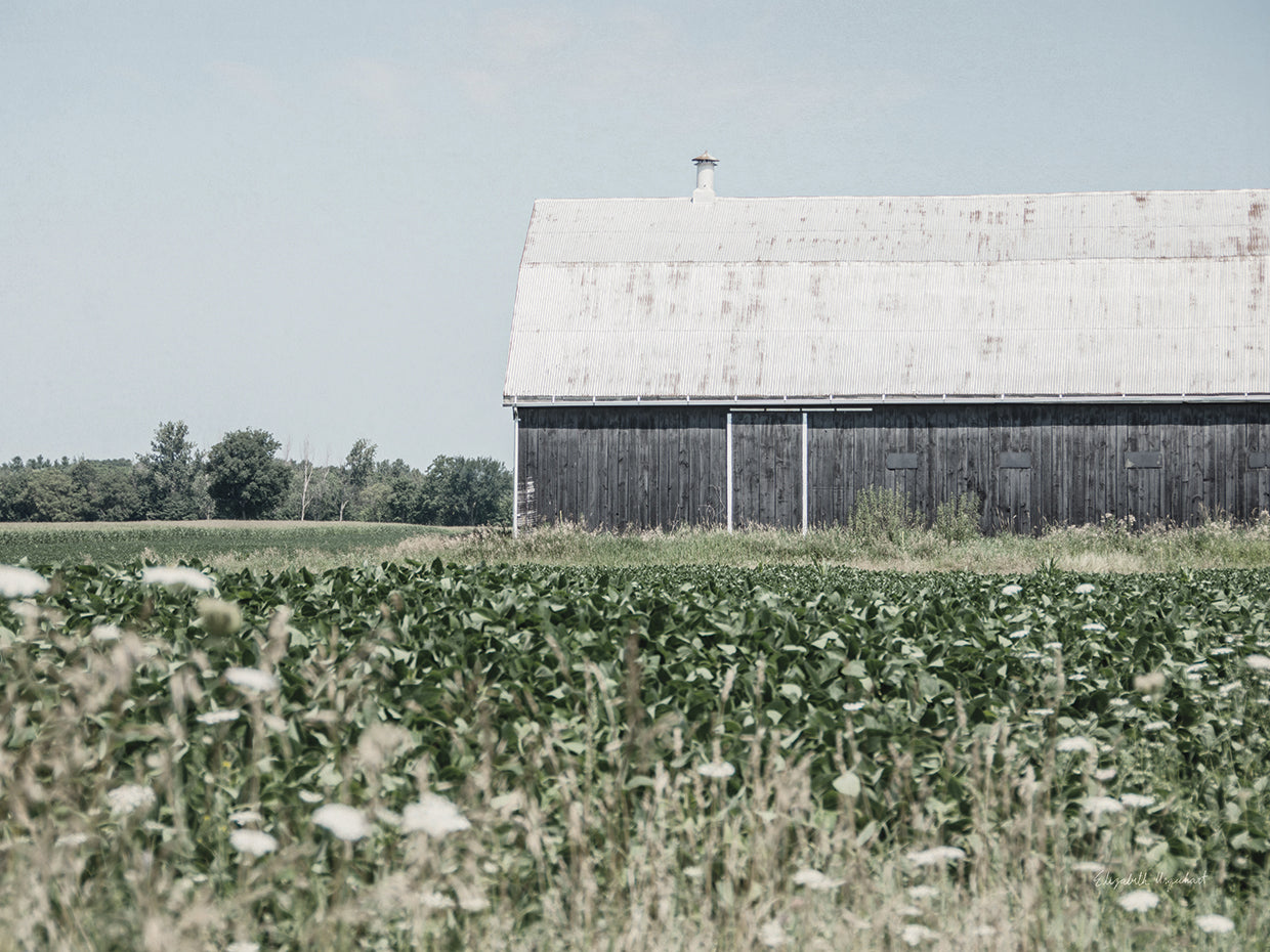 Weathered I