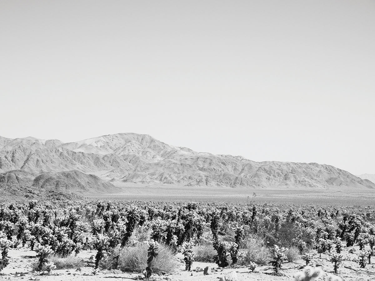 Road Trip IV