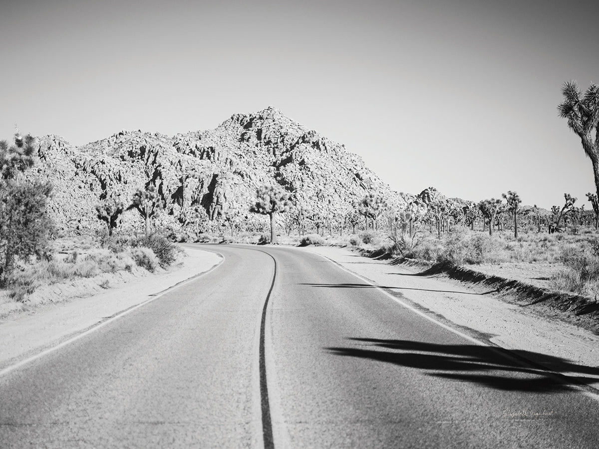 Road Trip I