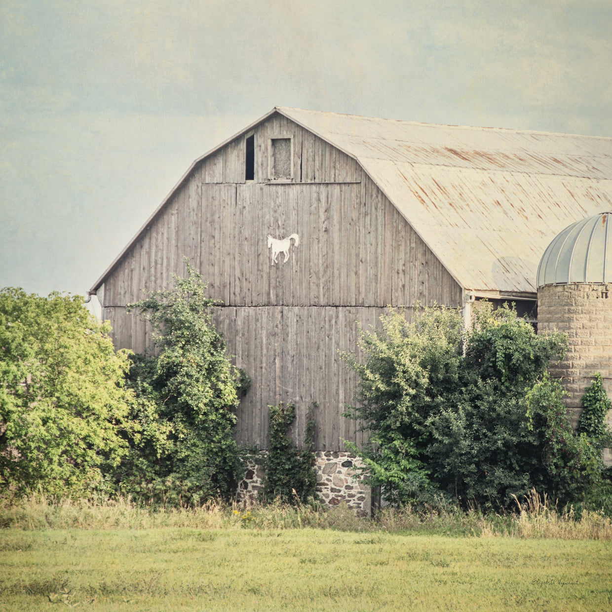 Late Summer Barn II Crop