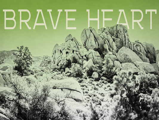 Ombre Adventure V Brave Heart Canvas Print