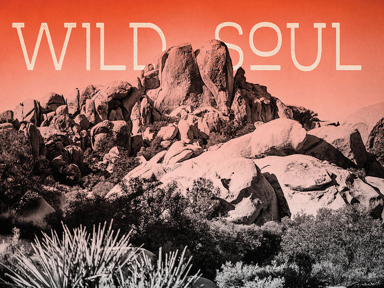 Ombre Adventure II Wild Soul