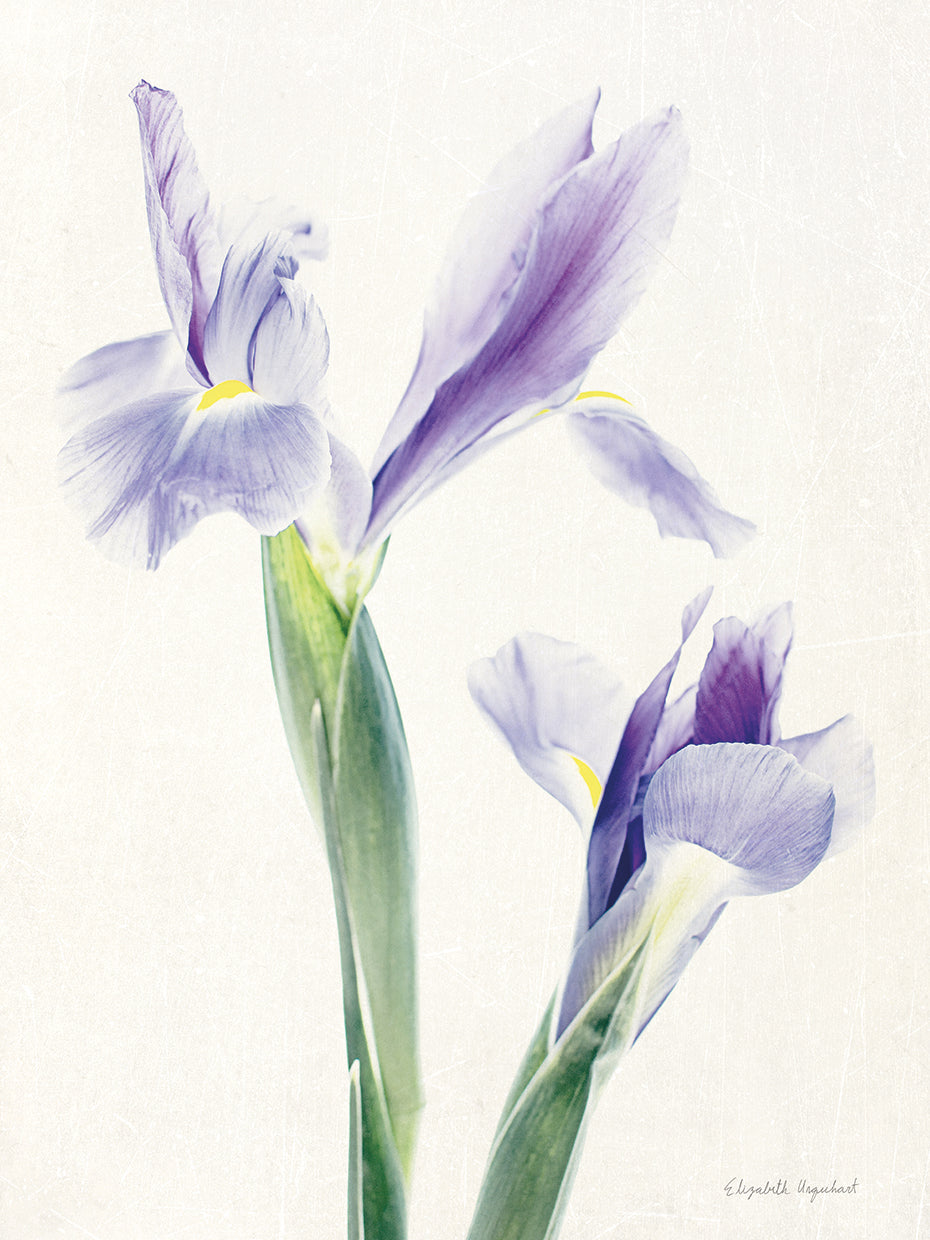 Light and Bright Floral III