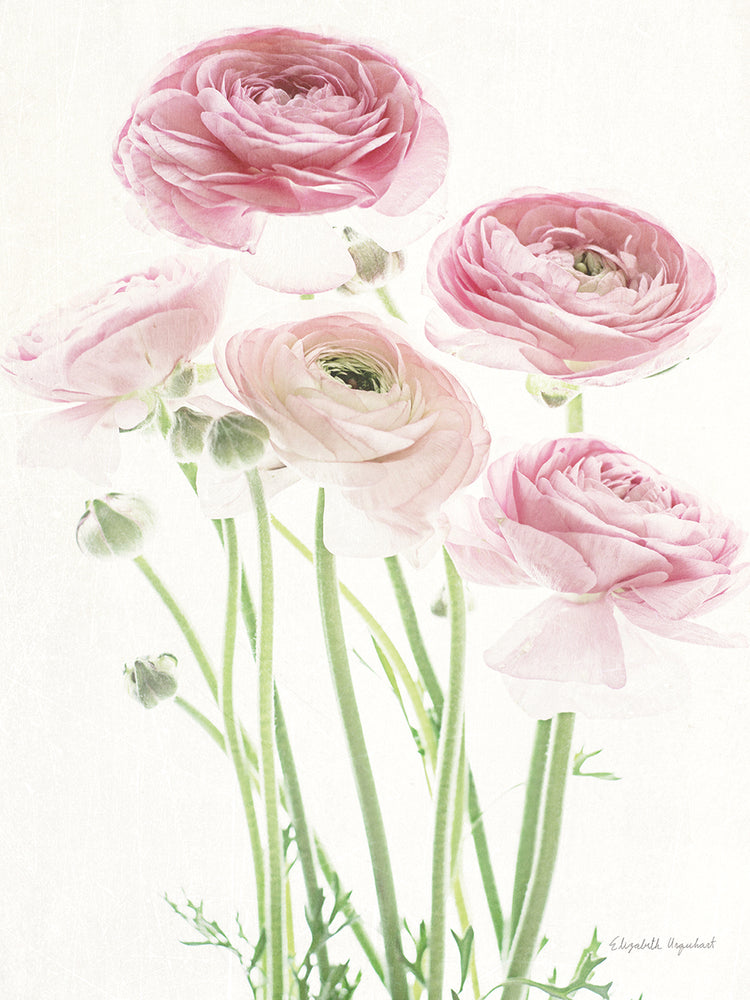 Light and Bright Floral V