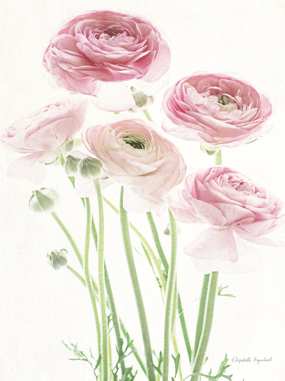 Light and Bright Floral V