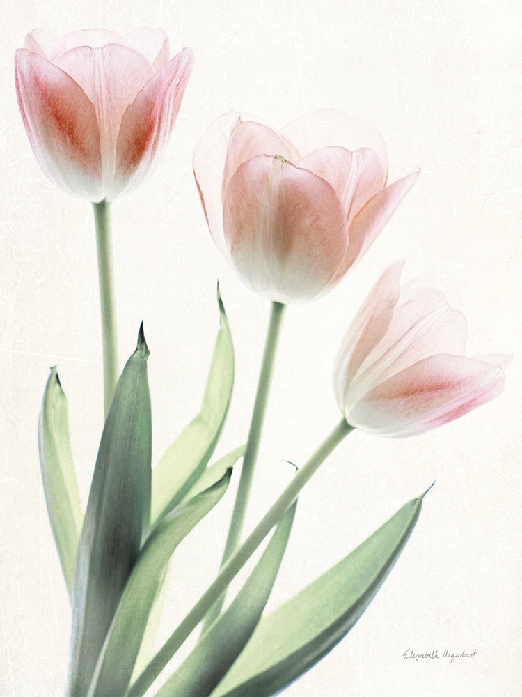 Light and Bright Floral II