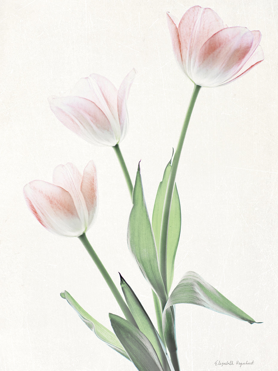 Light and Bright Floral I