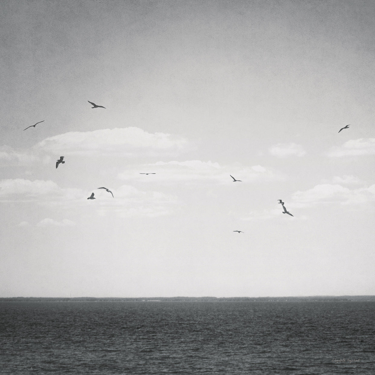 Calm Days IV BW Crop