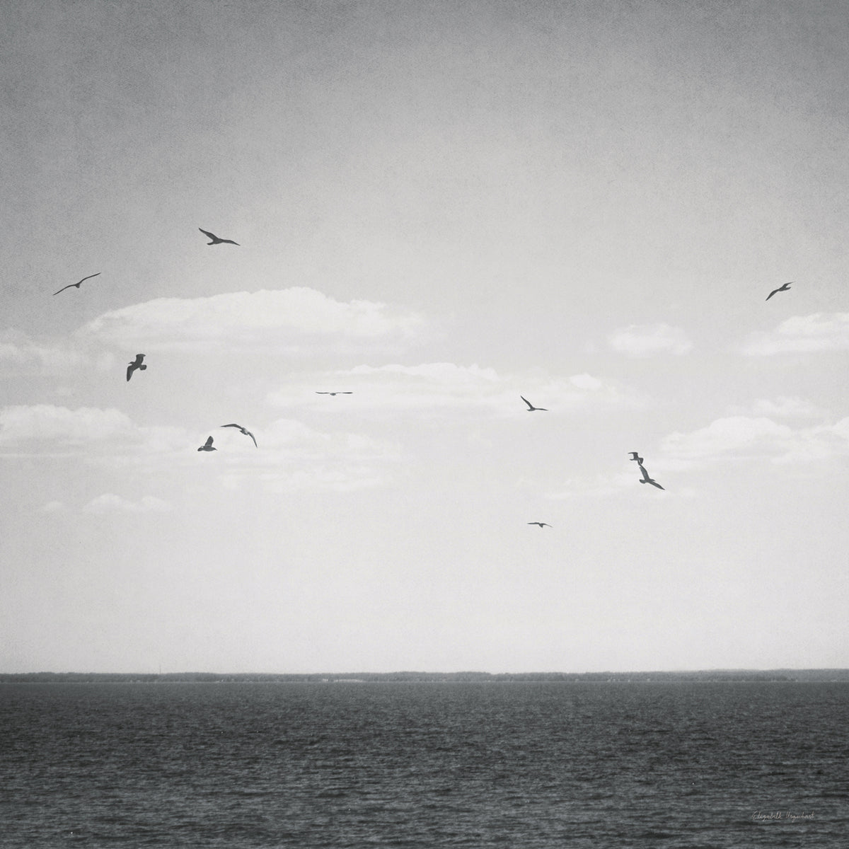 Calm Days IV BW Crop