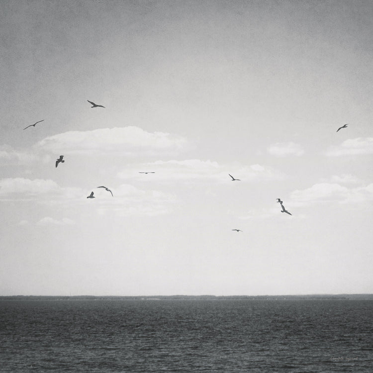 Calm Days IV BW Crop