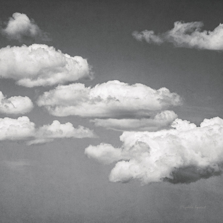 Calm Days III BW Crop