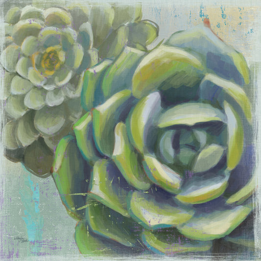 Succulents II Canvas Print