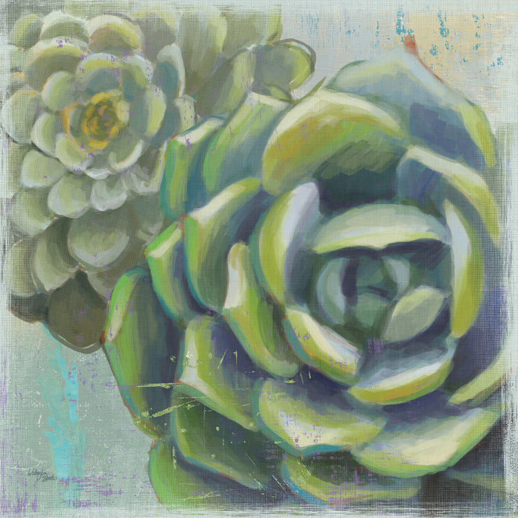 Succulents II