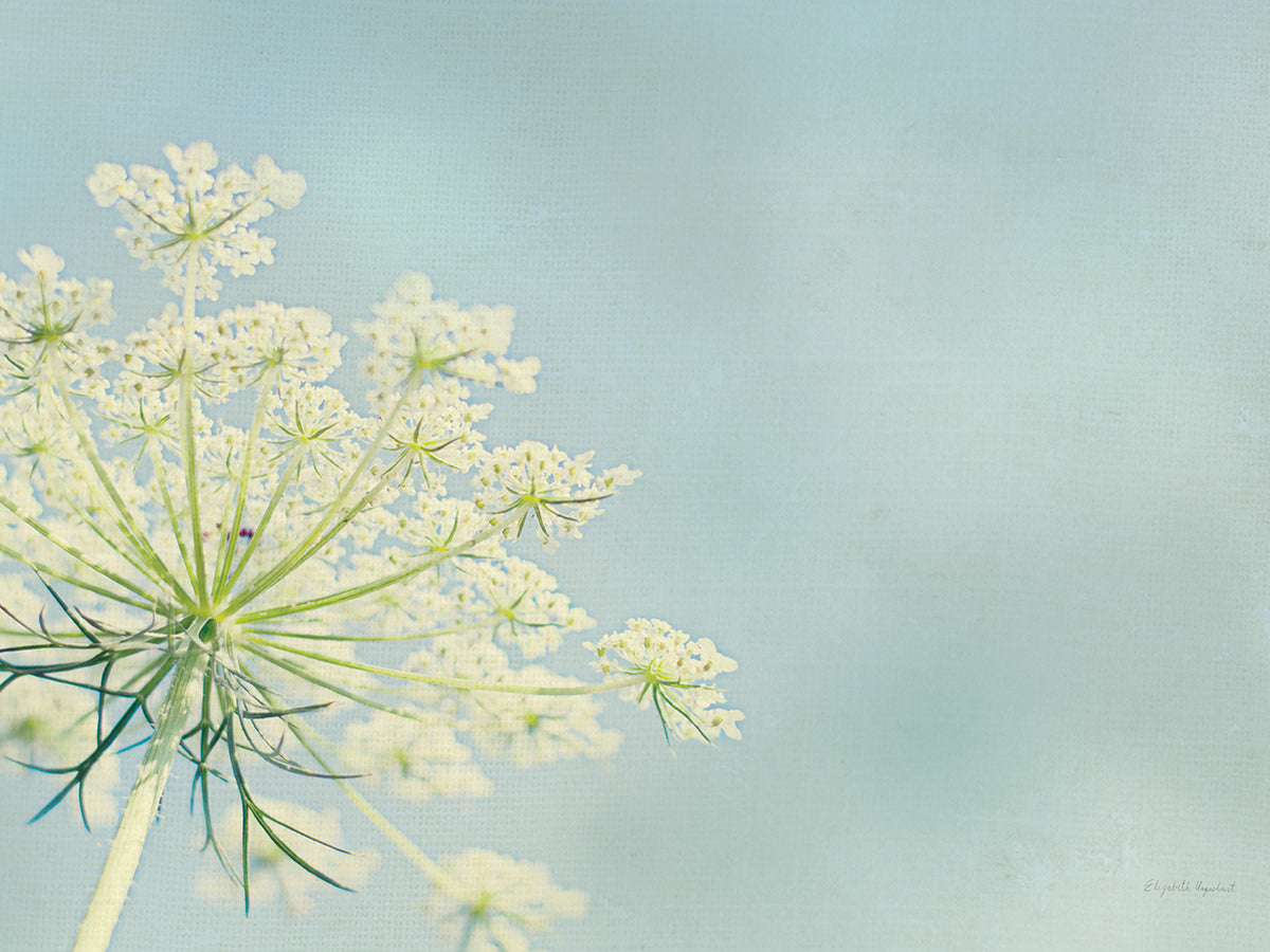 Flower on Blue I