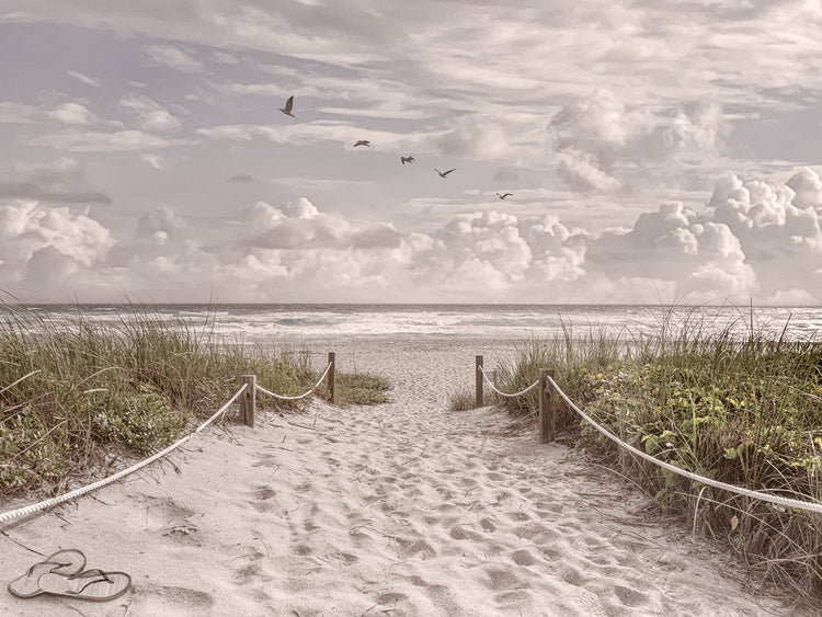 Sandals on the Beachhouse Trail