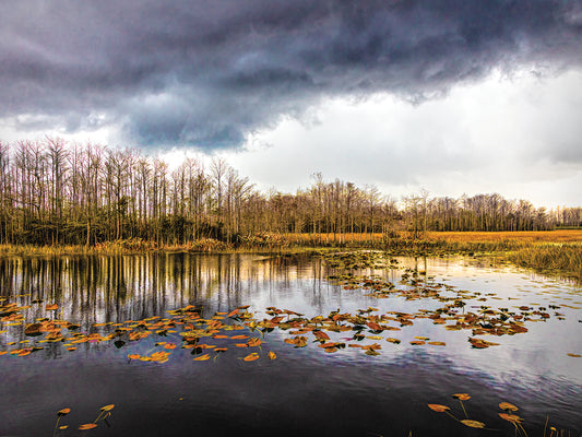 Marsh Under Autumn Thunderclouds