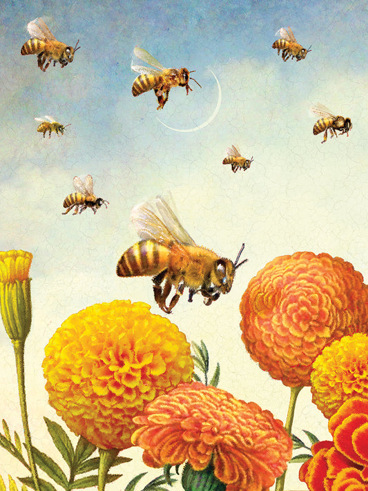 8 Of Fire Bees Canvas Print