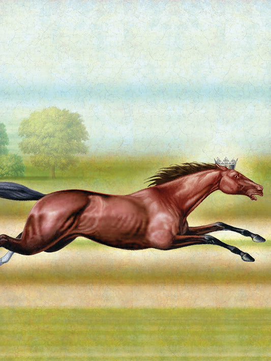 Knight Of Air-Horse Canvas Print