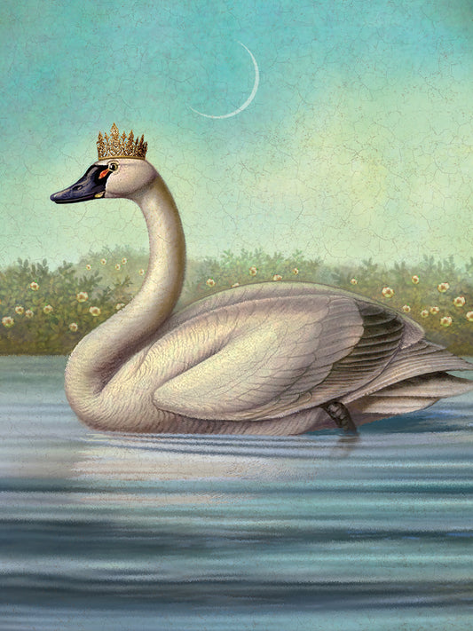 Queen Of Water Swan