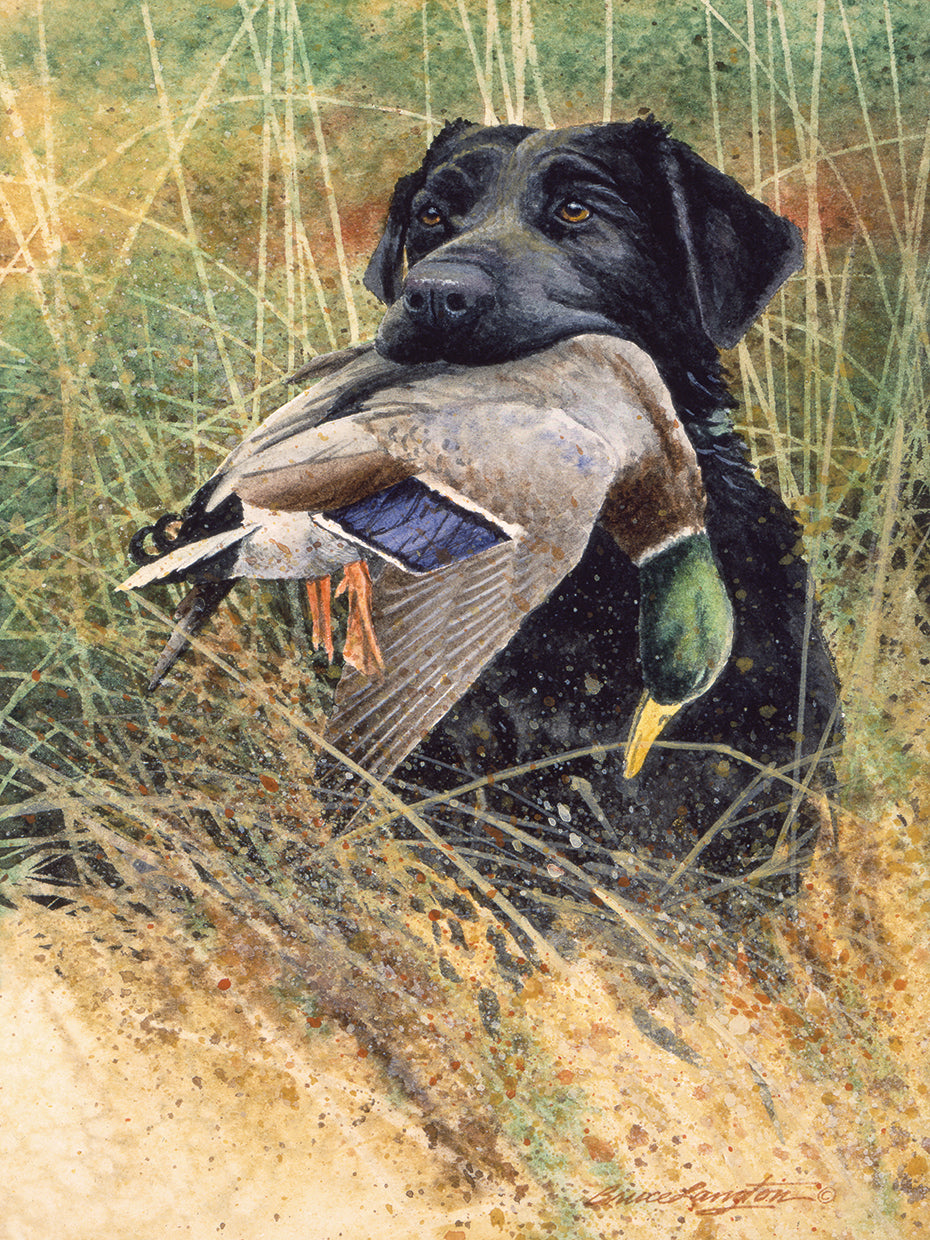 After The Hunt