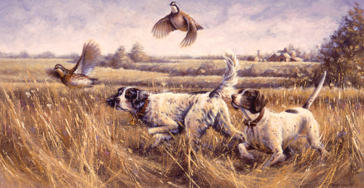 Windswept Fields