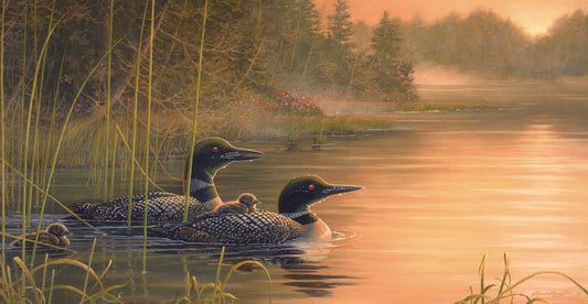 Common Loon Family Canvas Print
